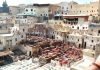 Best 15 Things To Do In Fez Morocco For 2025 | Full Guide Chouara tannery, Fez Morocco