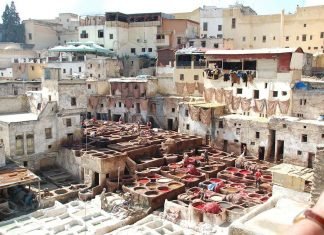 Best 15 Things To Do In Fez Morocco For 2025 | Full Guide Chouara tannery, Fez Morocco