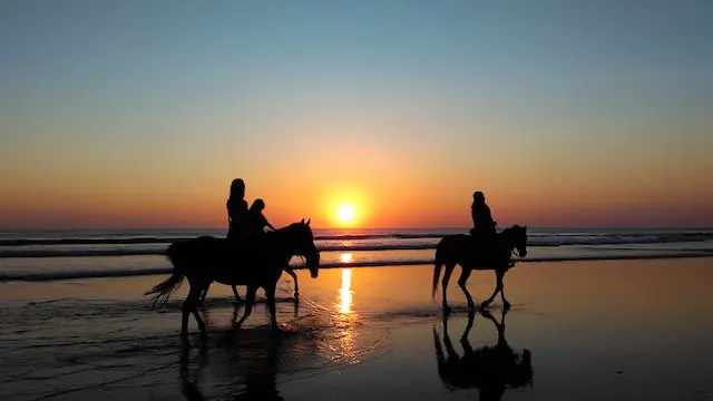 horse riding Agadir morocco